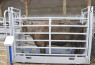 Tehtnica za žive živali AniScale - 1.500kg