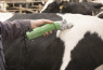 Električne škarje za govedo - Constanta4 400W (21/23)