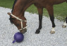Žoga za konja - 25cm - mint
